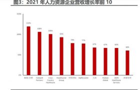 行业深度报告：国内灵活用工市场成长规模缩略图