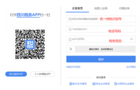 四川省成都市全电子发票开票流程缩略图