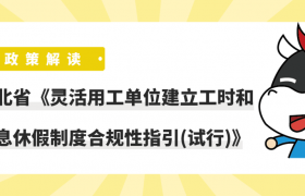 政策解读丨河北省《灵活用工单位建立工时和休息休假制度合规性指引(试行)》缩略图