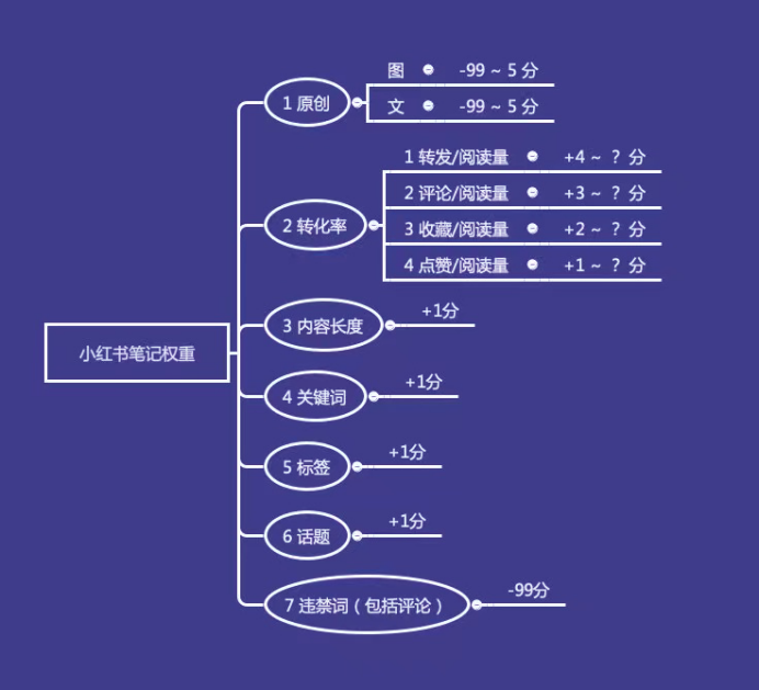 小红书投放的最佳首选不是信息流插图2